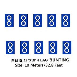 Metis Bunting Flag image 0