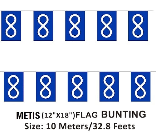 Metis Bunting Flag image 1