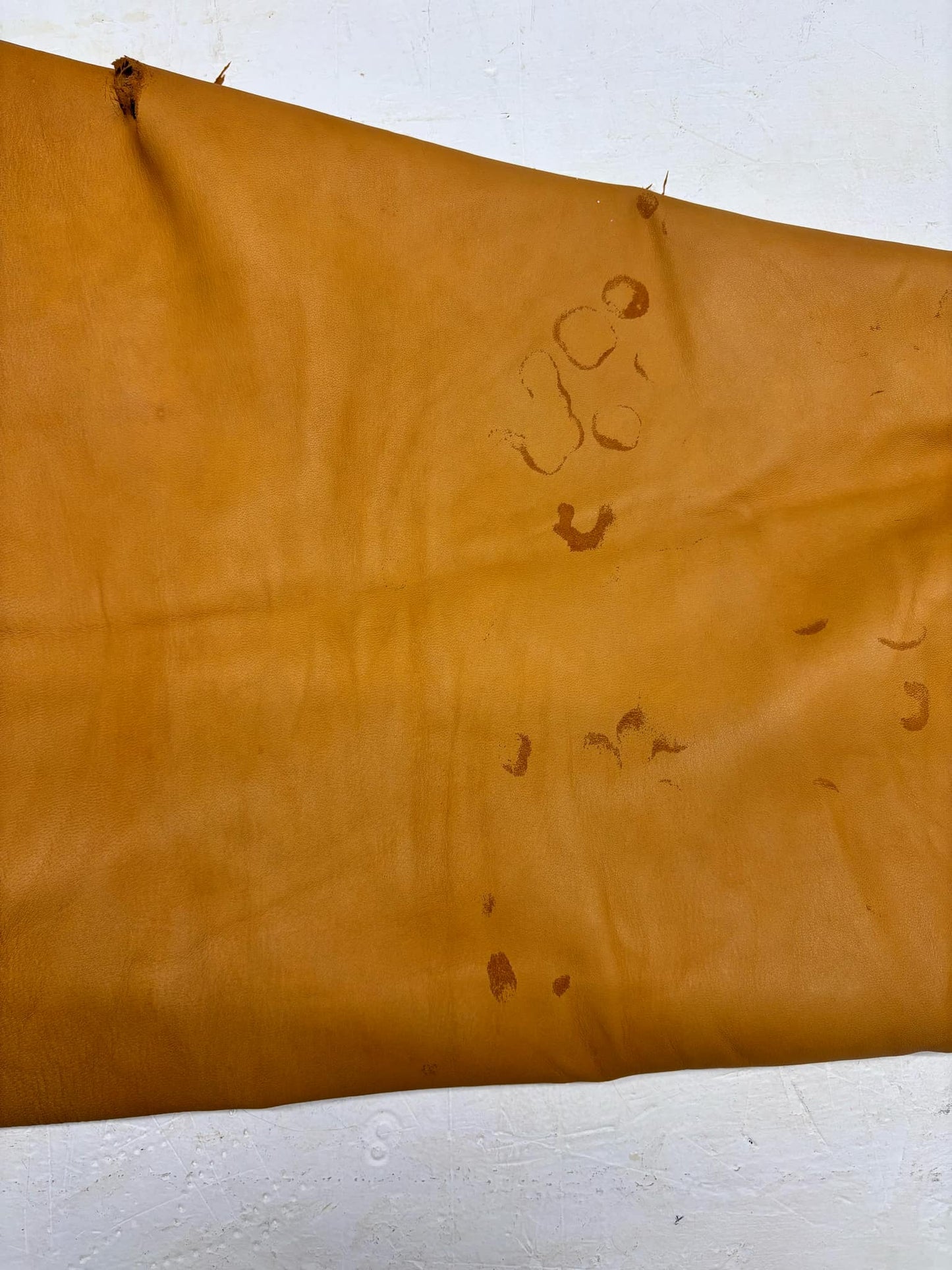 Toasted Gold Deer Leather image 0