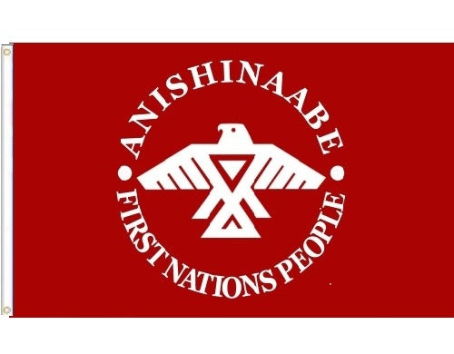 First Nations Flags image 0