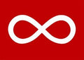 Large Metis Flag image 1