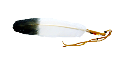 Talking Feather image 0