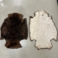 Beaver Pelts image 0