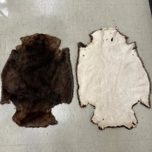 Beaver Pelts image 0