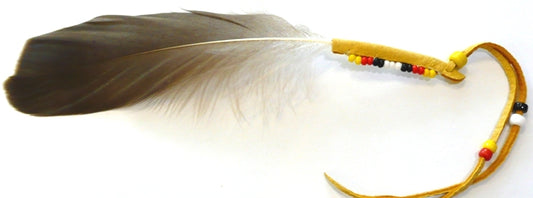 Friendship Feather image 0