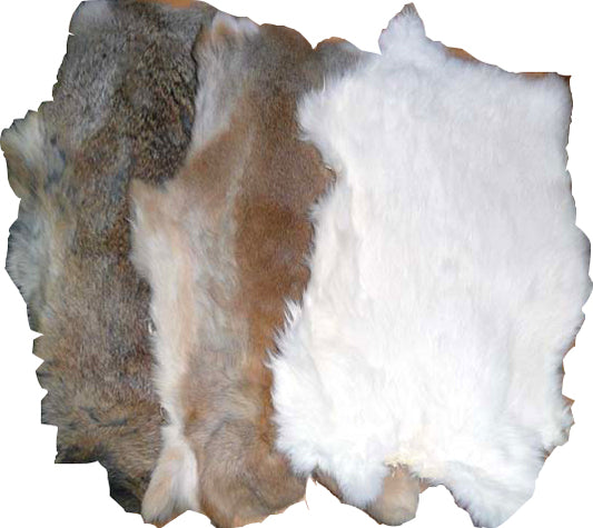 Rabbit Skins image 0