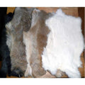 Rabbit Skins - White image