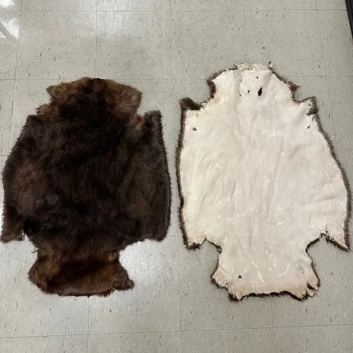 Beaver Pelts image 1