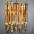 Red fox pelt image 0