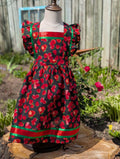 Sweet Ode’imin Ribbon Dress size 6