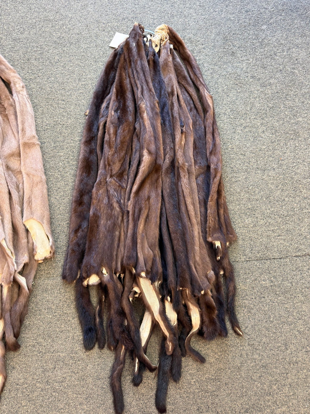 Mink Pelts