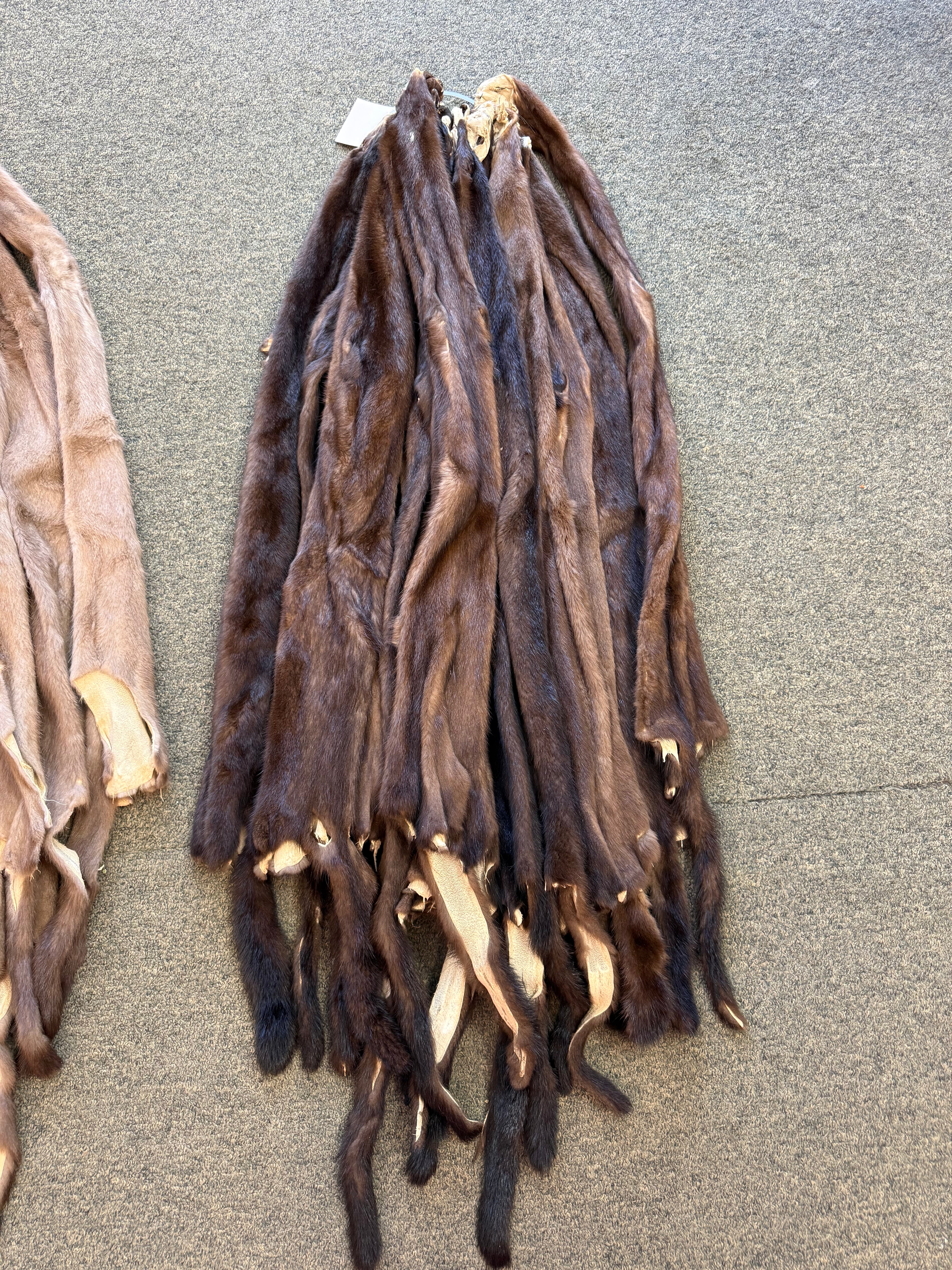 Mink Pelts