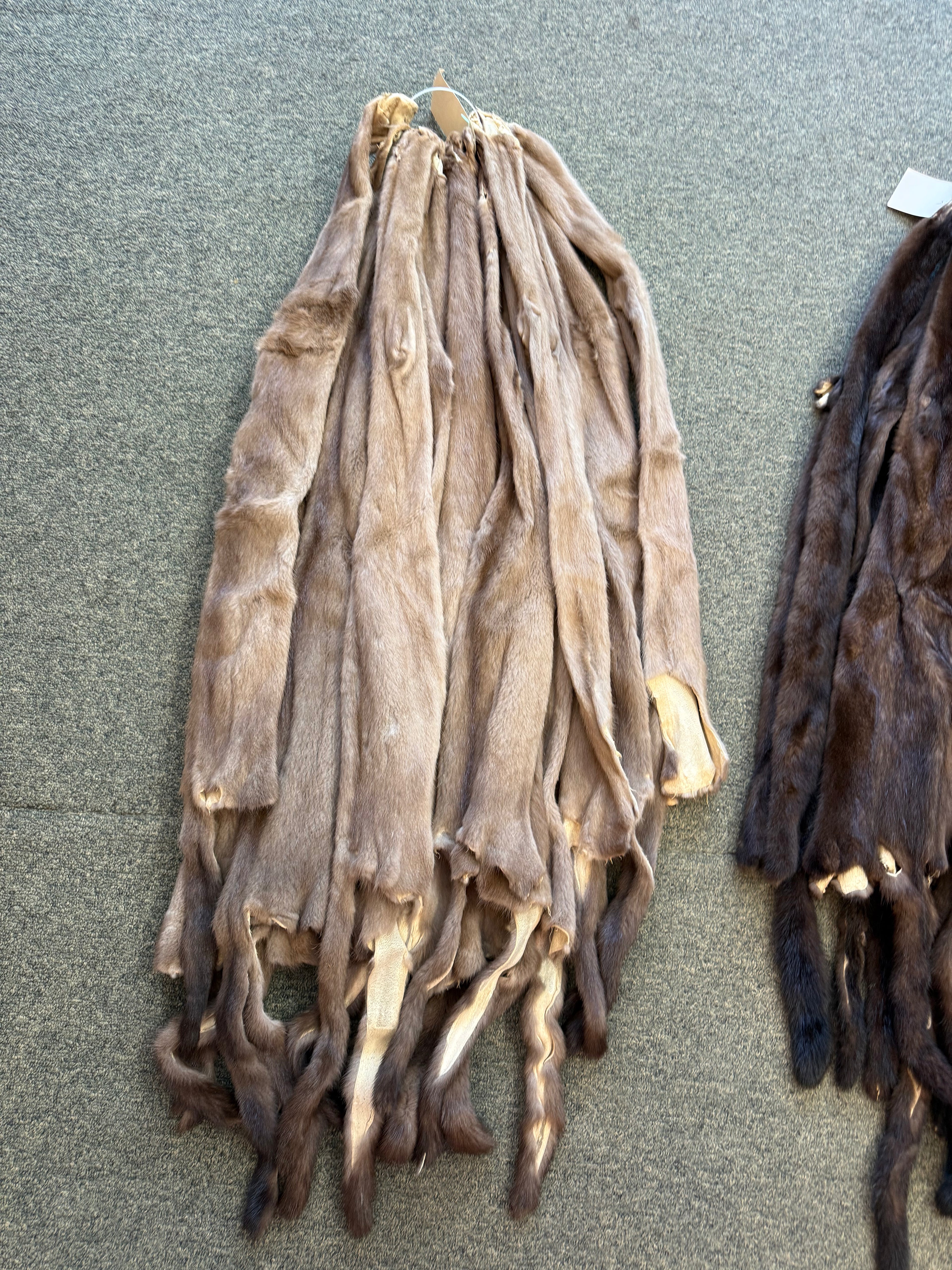 Mink Pelts
