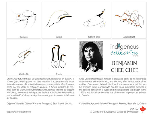 Benjamin Chee Chee Card Set image 0