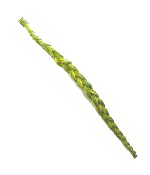Sweetgrass image 0