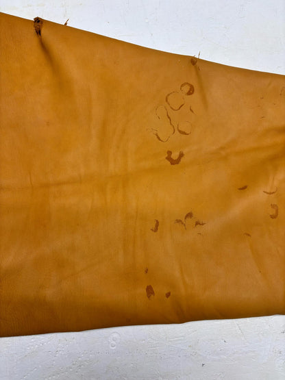 Toasted Gold Deer Leather image 0