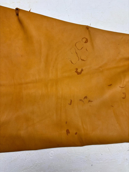 Toasted Gold Deer Leather image 0